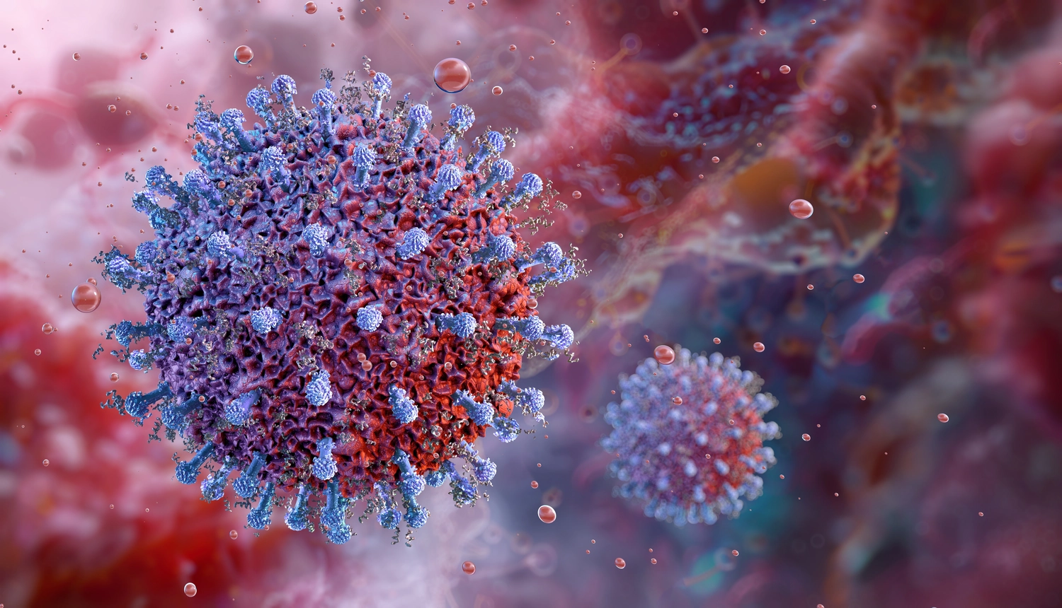 BD Medical Writing & Consulting - Eine künstlerische, digitale 3D-Illustration zweier kugelförmiger Coronavirus-Partikel in einer mikroskopischen Umgebung. Das größere Virus im Vordergrund zeigt blaue Spike-Proteine auf einer strukturierten, rot-violetten Oberfläche vor einem verschwommenen roten Hintergrund.